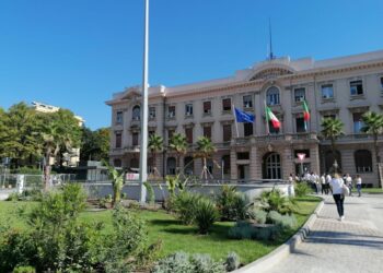 Trovate da operatori Amiu. Policlinico