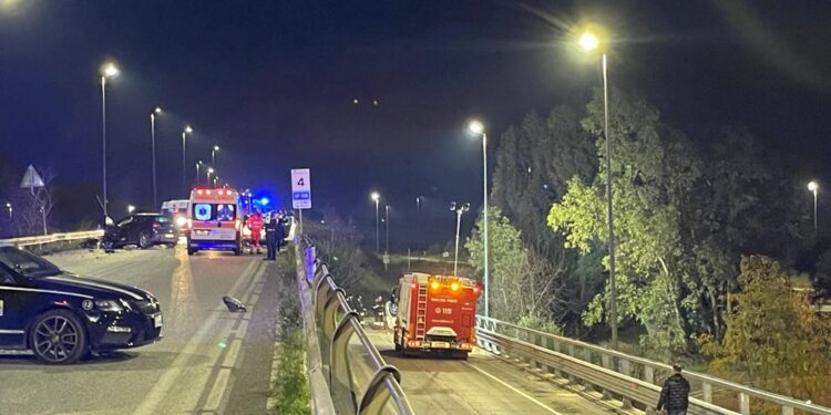 È accaduto sulla strada provinciale fra Trani e Corato