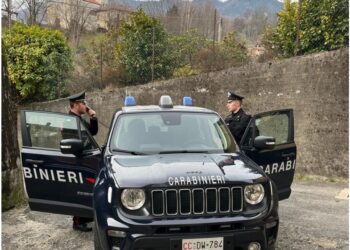 Immobilizzato con il taser e arrestato