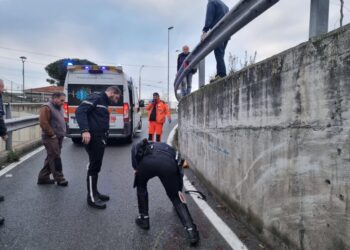 Presidio su rampa tragedia e aumento dei bus