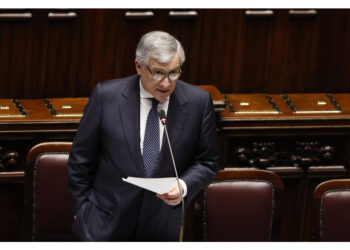 Afferma il ministro a Camera e Senato