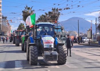 Poi il corteo proseguirà verso Piazza Municipio e il lungomare