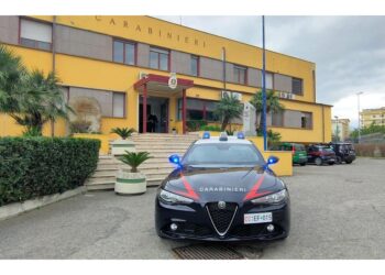 Nel Napoletano la madre segnalata dai carabinieri