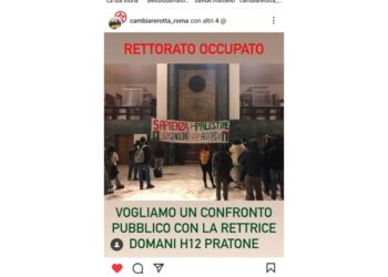 'Il Senato accademico ci ascolti