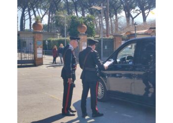 Operazione dei Carabinieri