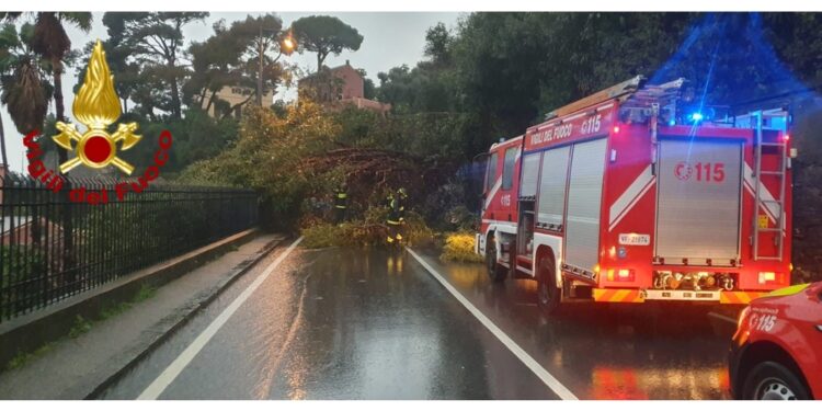 Frane nell'Imperiese. Riaperta parzialmente l'Aurelia a Recco