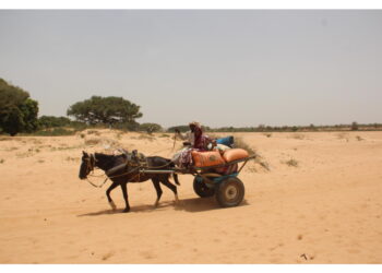 'Migranti morti mentre venivano trasportati nel deserto'