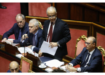 Il ministro al question time al Senato