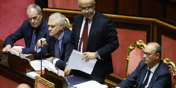 Il ministro al question time al Senato