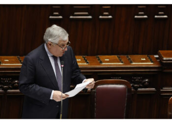 Tajani esprime i pareri per il governo in Aula