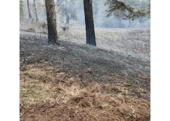 I roghi non danno tregua ai vigili del fuoco