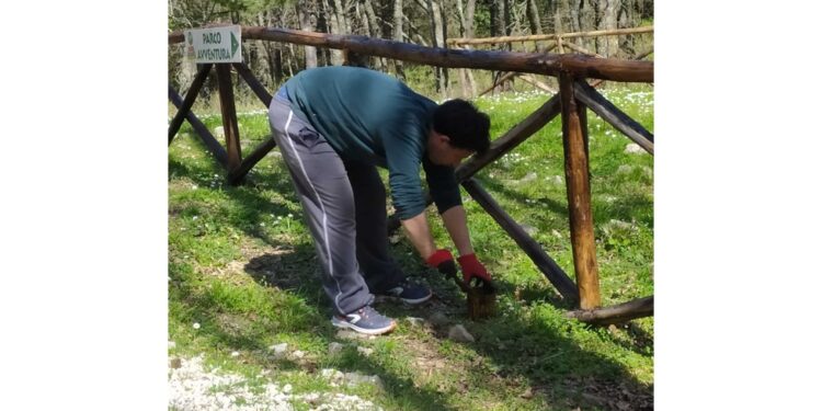 A 29 anni lavora in parco nel Foggiano e si occupa della sorella