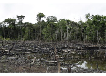 Dati in calo in Brasile e Colombia