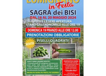 Per degustare la ricetta classica 'dei risi e bisi al cubo'