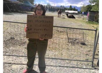 Azione di sensibilizzazione a Torino: "Liberare gli animali"