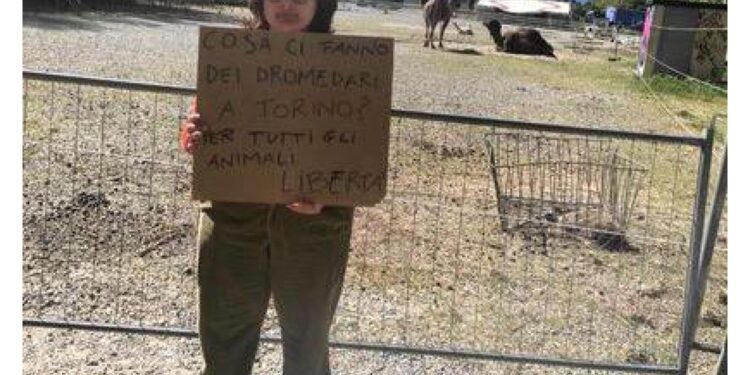 Azione di sensibilizzazione a Torino: "Liberare gli animali"