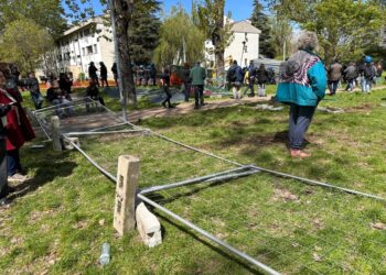 Primi alberi abbattuti nonostante il presidio dei cittadini