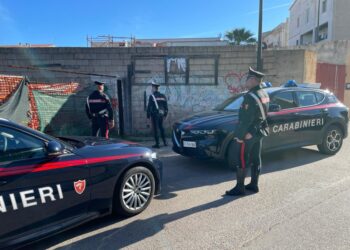 Carabinieri fermano 32enne dopo le urla della vittima