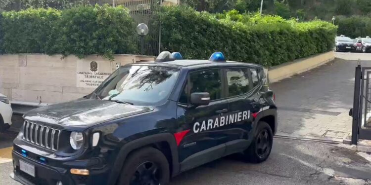 Indagine dei carabinieri