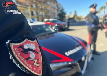 In corso operazione di carabinieri