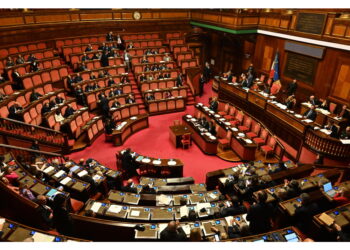 Nell'emiciclo del Senato in piedi mostrano copie della Carta