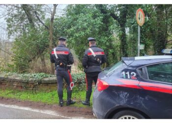 Inchiesta condotta dai carabinieri del Noe di Napoli