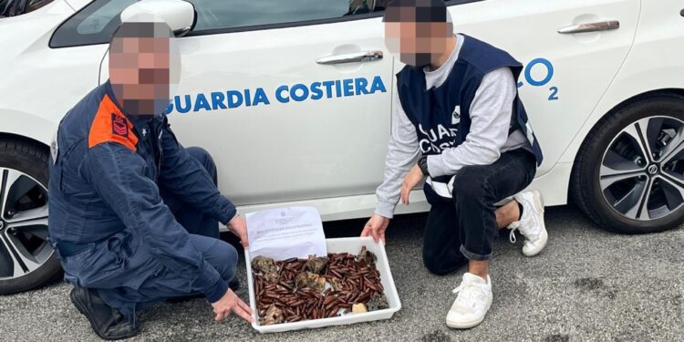 Guardia Costiera Spezia smantella filiera illegale