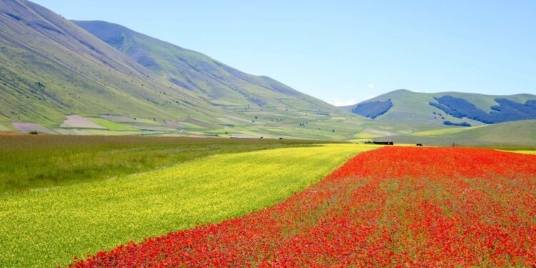 Per un agricoltore merito anche delle condizioni climatiche