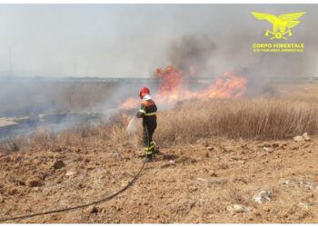 Le fiamme devastarono 130 ettari di territorio