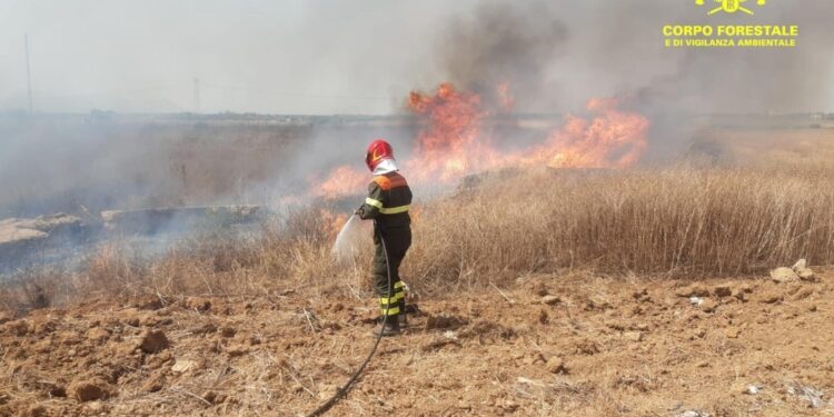 Le fiamme devastarono 130 ettari di territorio