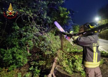 L'infortunio a Cernobbio durante rimozione di un albero caduto