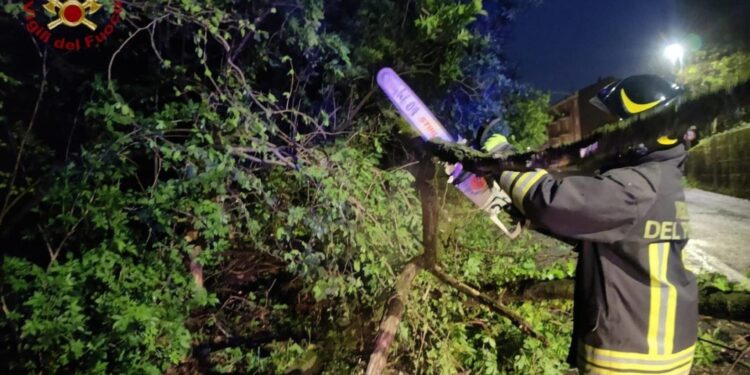 L'infortunio a Cernobbio durante rimozione di un albero caduto