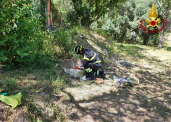 La tragedia in Sicilia. Nella zona c'era un campo estivo