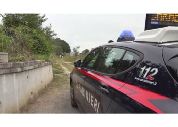 Operazione Carabinieri. Reato ai danni di una ragazza di 20 anni