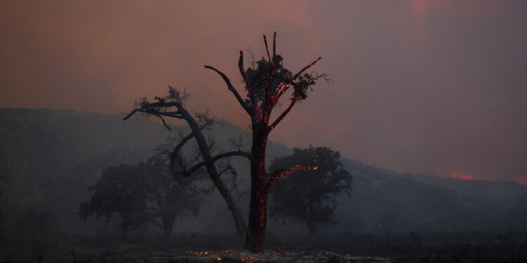 L'incendio nella contea di Los Angeles