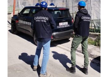 Operazione dei carabinieri nelle province di Napoli e Caserta