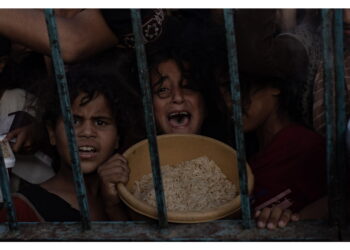 Mencer: 'A Gaza più cibo di quanto ne entrasse prima del 7/10'