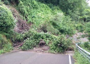 Anche la via per il Castello di Carpineti