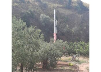 Era impegnato nelle raccolta delle pesche in un terreno agricolo