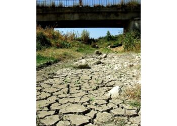 Ingegnere: 'Nell'Agrigentino autogestione acqua crea la crisi'