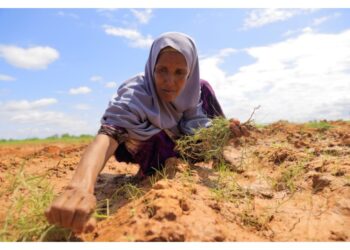 Per garantire aiuti a rifugiati e sfollati nel Corno d'Africa