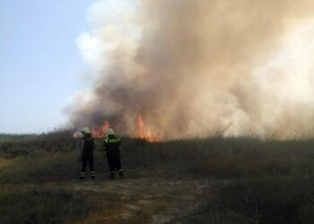 A Pomezia e a Cerveteri