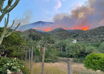 'In spregio alle richieste dell'isola'