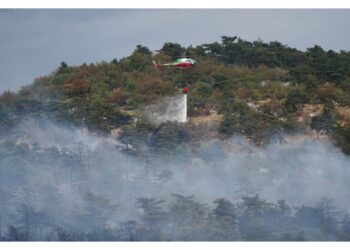 In azione ben 450 vigili del fuoco