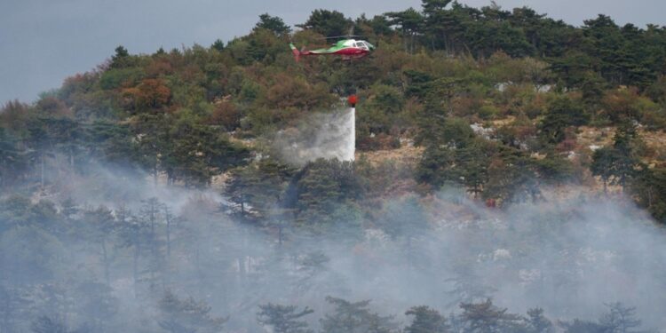 In azione ben 450 vigili del fuoco