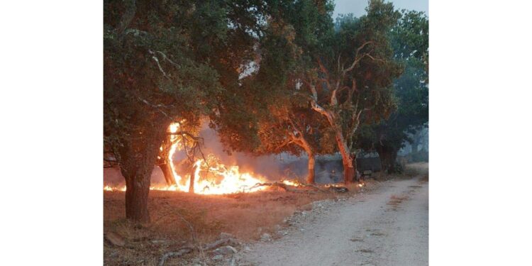 'Servono aiuti per ricostruire e più forze in campo'