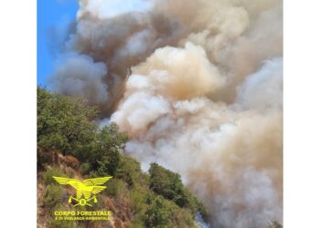 Fiamme alte nei pressi dell'altro rogo divampato nella notte