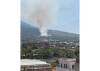 A Torre del Greco fiamme in via Fosso Bianco