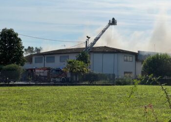 Protezione civile