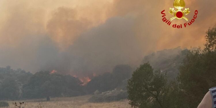 Vasto rogo a Orotelli